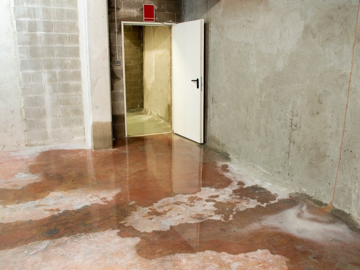 Wasserschaden im Keller: stehendes Wasser auf dem Betonboden vor einer Kellertür