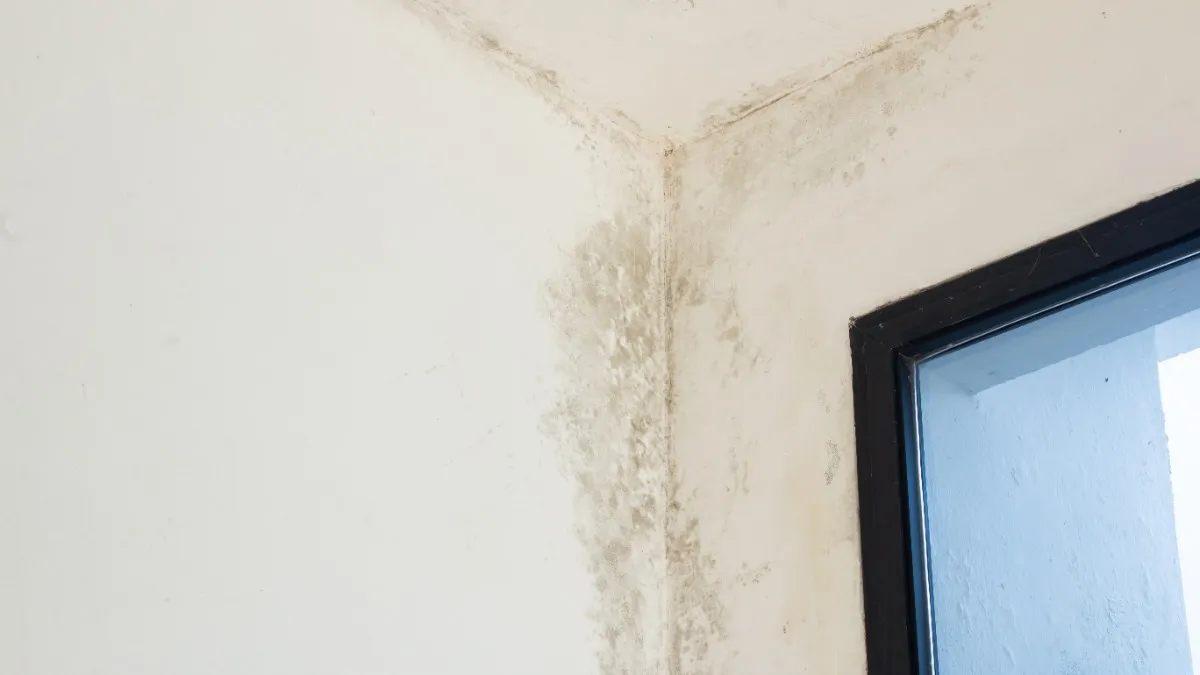 Feuchte Wände - Problem